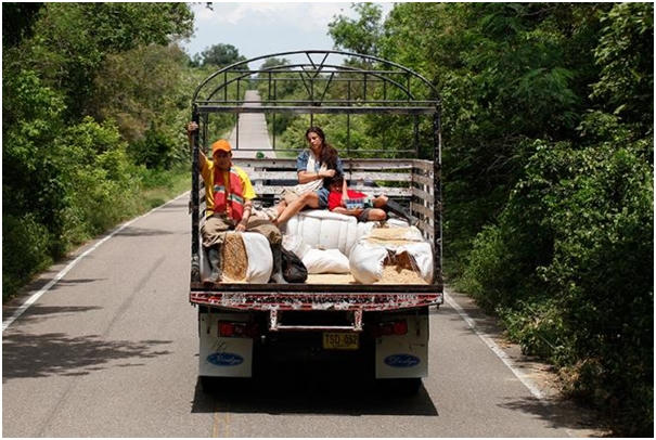 Hình ảnh trong phim Con đường trắng.