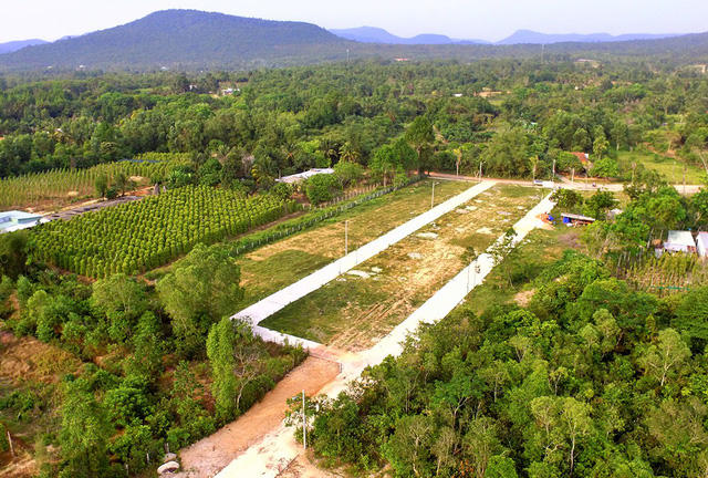 Những dự án phân lô trên đất nông nghiệp đang được rao bán rầm rộ.