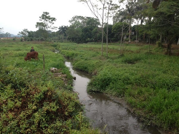 Suối Vai Xô đã từng là con suối thơ mộng, giờ thì nước chỉ có một màu đen.