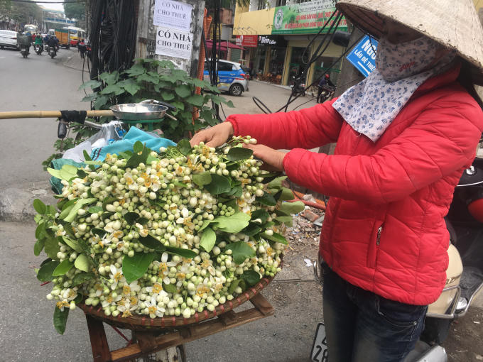 Vẻ đẹp tinh kh&ocirc;i hoa bưởi tr&ecirc;n đường phố H&agrave; Nội