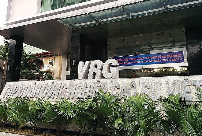 Tập đoàn Công nghiệp Cao su Việt Nam (Ảnh: Báo Đầu tư)