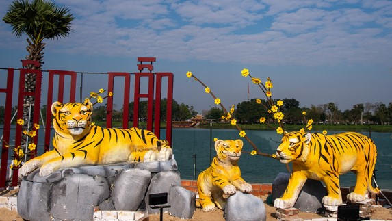 Bản tin Tết Nhâm Dần 3 miền