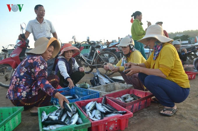 Phiên chợ cá không chỉ là nơi buôn bán, gặp gỡ, giao lưu tình cảm của phụ nữ miền biển mà còn là nét đẹp văn hóa của cư dân vùng biển đảo Lý Sơn.