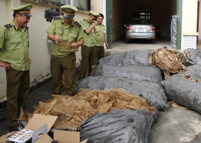 Hơn 1,3 tấn da lợn thối trên đường vận chuyển vào TP.HCM để làm giò, gỏi bán cho khách thì bị cơ quan chức năng Hà Tĩnh phát hiện, bắt giữ.