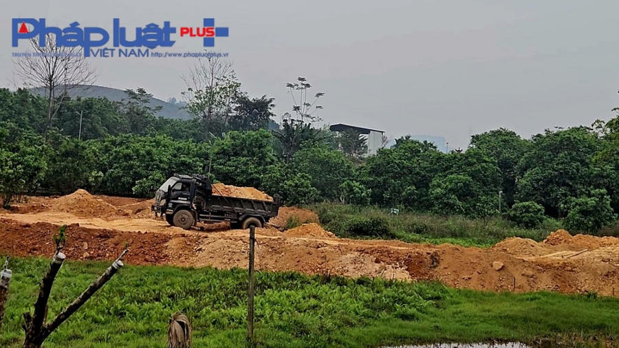 Có cả những xe trọng tải nhỏ nhưng cũng tham gia vận chuyển vượt thành thùng không đậy bạt.
