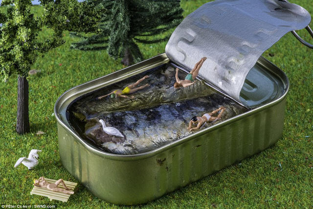 Một buổi vui chơi ngoài trời.