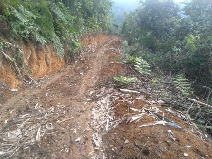 78284969-2c95-41d4-8e9d-6b7f8a131f87