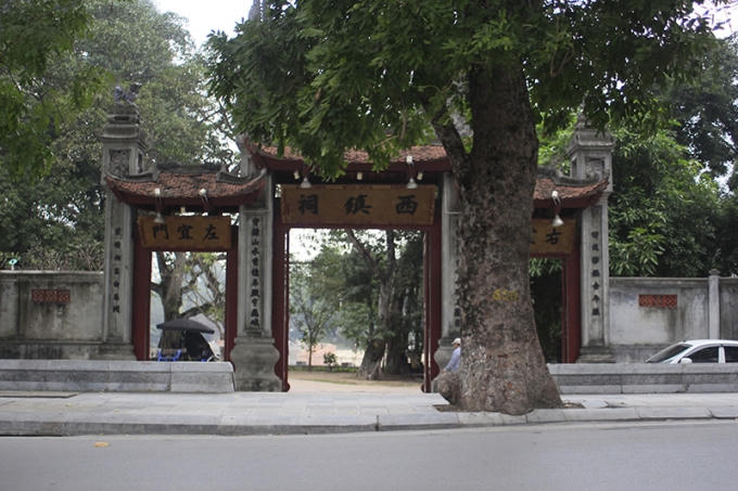 Do đường Kim Mã hẹp, sau khi đánh chuyển cây đơn vị sẽ cạp ra hồ Thủ Lệ khoảng 2,5 m, đảm bảo đường rộng 8 m cho phương tiện lưu thông.