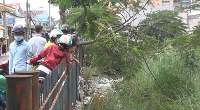 Khu vực phát hiến sự việc