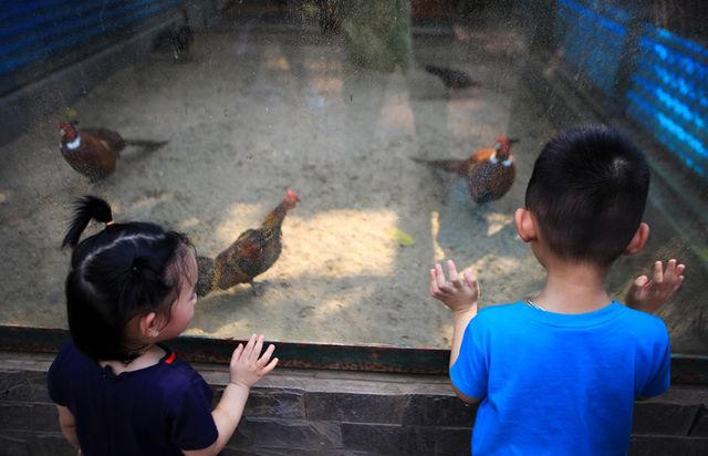 “Tôi chọn công viên Thủ Lệ để đưa con tới chơi bởi ở đây có nhiều thú hoang dã hấp dẫn các cháu”, chị Vân Anh (huyện Đông Anh) chia sẻ.