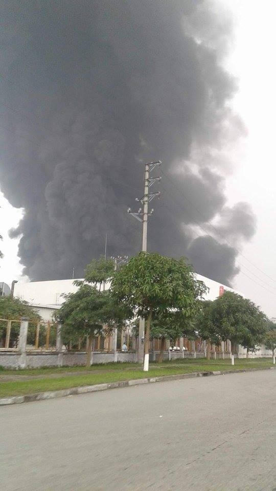 Đám cháy khiến nhiều người hoảng sợ.