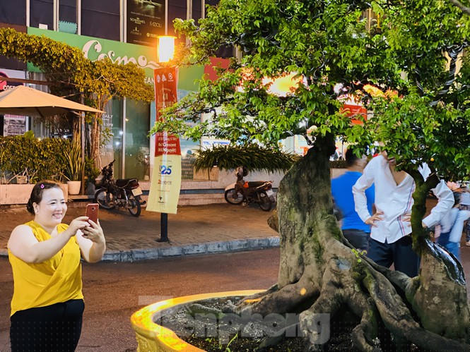 khe 100 tuoi hinh dau chuot doc la, gia 500 trieu gay xon xao hinh anh 10