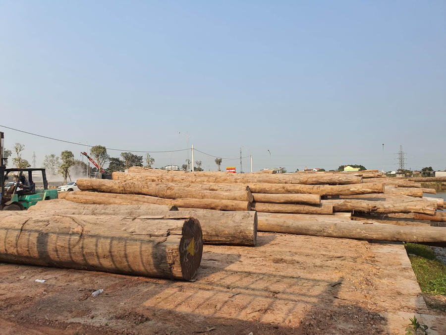 333417942_521529913501024_1455998835581310264_n (1)