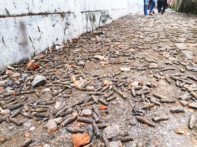 Sau tiếng nổ "cơn mưa đầu đạn" đã trút xuống đường...