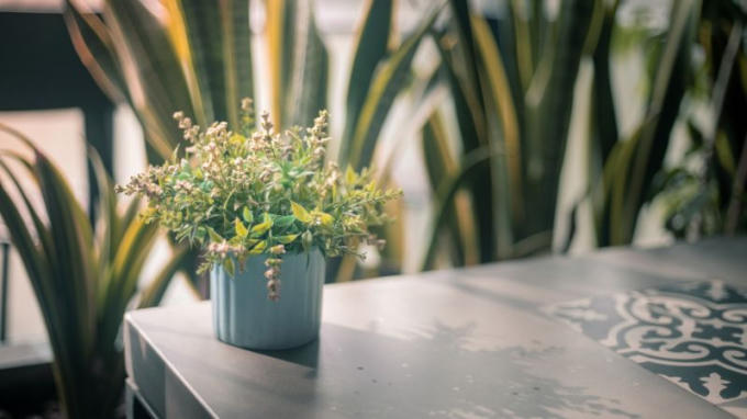 goi-y-7-mon-qua-20-10-tang-dong-nghiep-nu-doc-dao-ma-y-nghia-202210010735112310