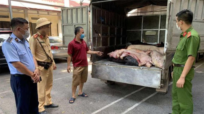 d03fa526f6641f3a4675