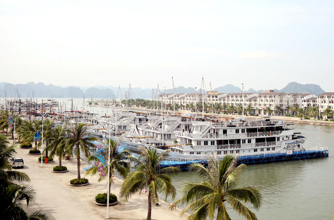 Tạm dừng cấp lệnh xuất bến các tàu, thuyền xuất bến chủ động phòng chống cơn bão số 5.