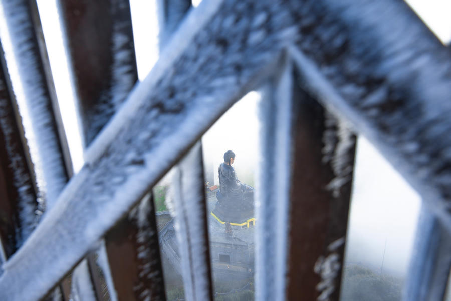 z5009956550515_beb59d7e772e07e368a6ae194793ce67