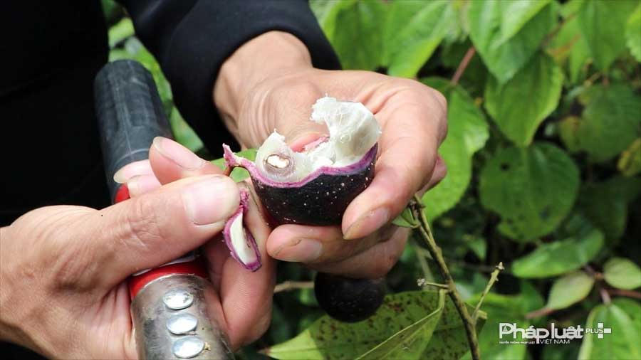 710_1073.00_07_17_38.Still003