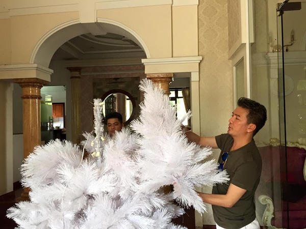 Đ&agrave;m Vĩnh Hưng cầu kỳ tự mua sắm v&agrave;  trang tr&iacute; c&acirc;y th&ocirc;ng Noel