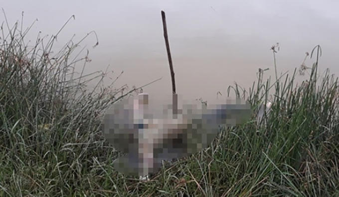 Thi thể cháu D. được cơ quan chức năng phát hiện cách chân cầu Hàm Rồng cũ khoảng 200m.