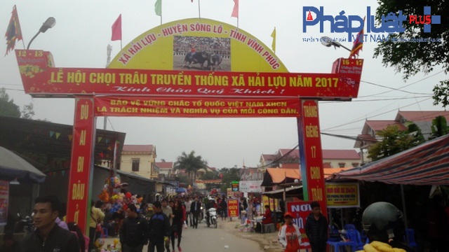 Lễ hội chọi trâu Hải Lựu năm 2017