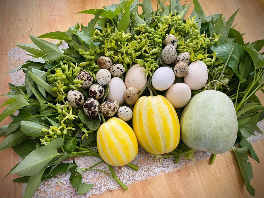 Mùa dịch, gia đình chị không phải lo về nguồn thực phẩm khi có rau sạch, trứng có ngay ở vườn.