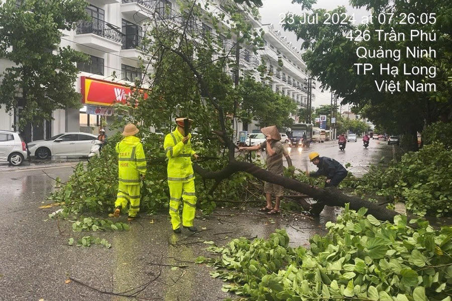 Lực lượng CSGT TP. Hải Phòng và các lực lượng nhanh chóng dọn dẹp cây đổ trên các tuyến đường - Ảnh: VGP