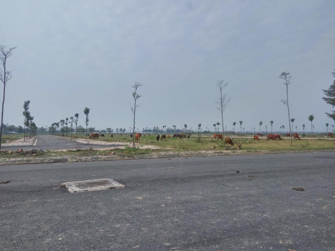 Dự án Khu đô thị AIC của do Công ty CP Bất động sản AIC làm chủ đầu tư “trồng cỏ” cả thập kỷ, 1 trong 4 dự án UBND TP Hà Nội yêu cầu thanh, kiểm tra tại Mê Linh.