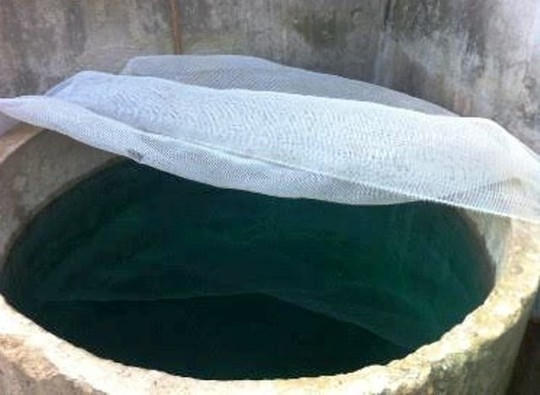 Bể nước sinh hoạt có màu xanh ngắt lạ thường, bọt nổi trắng xóa khi xả vào nồi