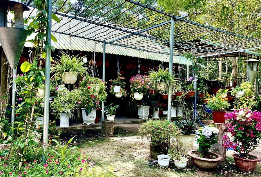 Ngoài những cánh đồng xanh ngắt, các khoảng trống, góc sân xung quanh nhà đã được trang trí để tạo nên những không gian lãng mạn, giúp du khách có được những góc ảnh đẹp.