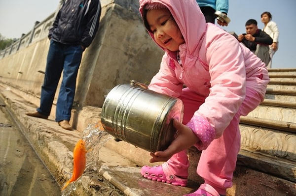 Sau khi thờ cúng, các chép sẽ được phóng sinh về sông, hồ.