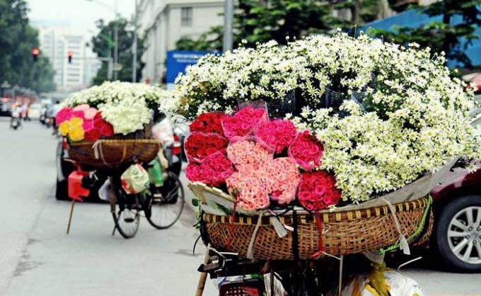 Tới Hà Nội, du khách không khó để bắt gặp những bó hoa nhiều màu sắc lủng lẳng theo sau xe của bác bán hàng (ảnh Thanh Huyền)