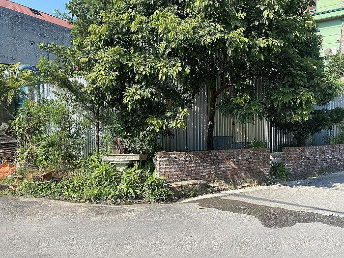 Khu đất xảy ra tranh chấp.