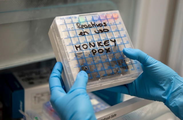 WHO họp khẩn, cân nhắc đậu mùa khỉ là tình trạng khẩn cấp toàn cầu