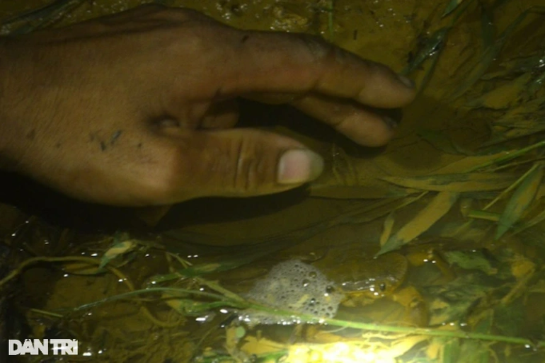 Bắt đầu từ khoảng tháng 5-6 dương lịch, vào mùa cua, người dân miền núi Nghệ An thường vào rừng săn cua. Quá trình bắt cua kỳ công nhưng đổi lại giá thành cao, đây cũng là một công việc kiếm thêm thu nhập hiệu quả.