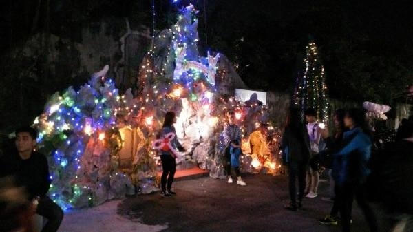 Kh&ocirc;ng kh&iacute; Gi&aacute;ng sinh đ&atilde; tr&agrave;n về khắp mọi nẻo đường