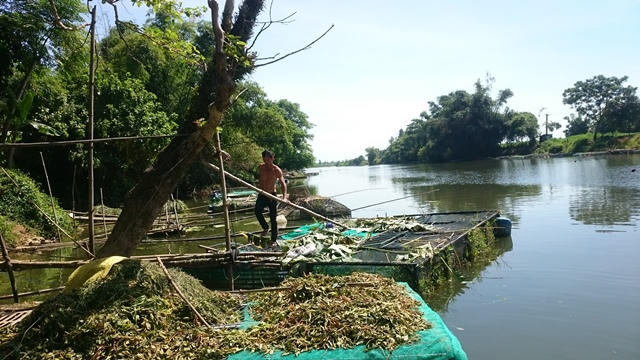 Hiện trường nơi xảy ra vụ việc.