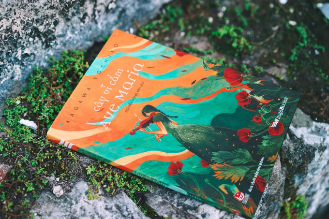 Cây vĩ cầm Ave Maria mở đầu bằng cuộc gặp gỡ tình cờ giữa cô bé 14 tuổi Murakami Asuka sống ở vùng ngoại ô Shikoku, Nhật Bản.