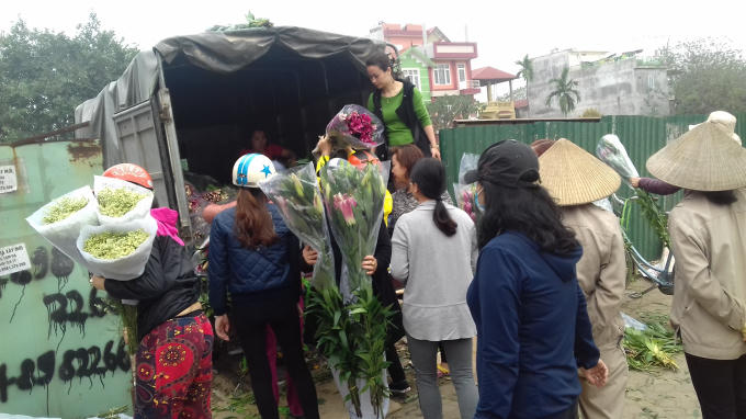 Do ảnh hưởng của thời tiết, hoa ly nở không đúng dịp tết người trồng hoa bó hoa thành từng bó rồi mang ra vỉa hè trên đường Lạc Long Quân, Tây Hồ bán với giá rẻ.