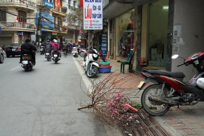 Hết Tết đ&agrave;o c&agrave;nh vẫn h&uacute;t kh&aacute;ch