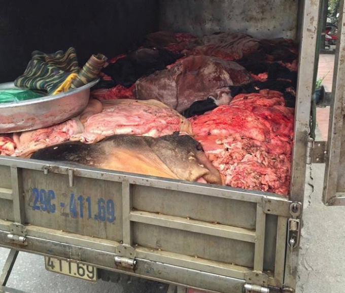 Số da trâu, bò, nội tạng hôi thối bị Đội CSGT số 8 phát hiện. Ảnh: