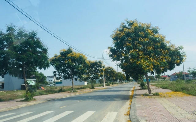 Tiến độ thi công thần tốc tạo nên giao dịch ấn tượng cho Phân khu The Faifo Complex