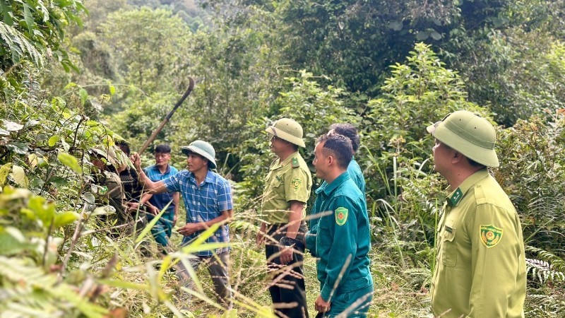 Lực lượng chức năng kiểm tra, đảm bảo an toàn cho môi trường rừng.