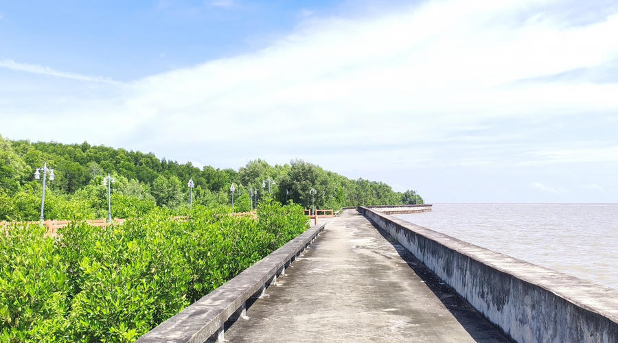 Cà Mau tập trung đầu tư hệ thống đê, kè gắn với trồng rừng ngập mặn, hướng tới giải pháp bền vững bảo vệ vùng cực Nam của Tổ quốc.