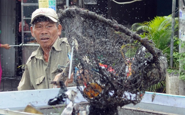 Là một thương binh hạng 4/4 nhưng ông Đức vẫn lao động hết mình vì một môi trường sạch đẹp.