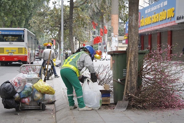 H&agrave; Nội: Sau tết, x&aacute;c hoa đ&agrave;o ngập phố