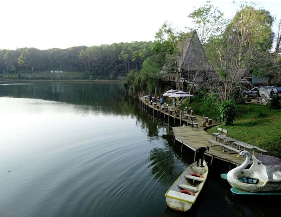 Screenshot_20221208-132105_Zalo