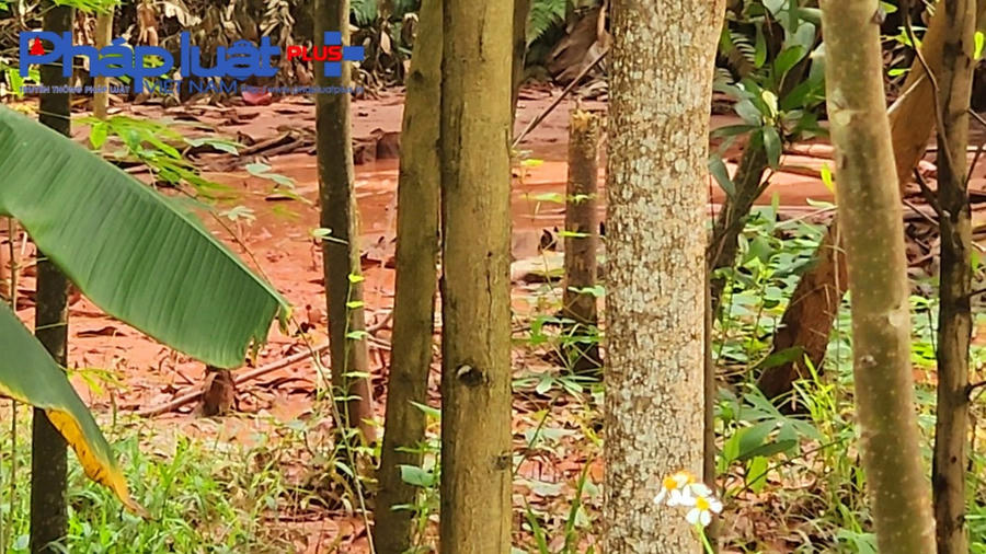 z3934381419088_d0cae26cd98d3ecd744f54b9a0c8db9b