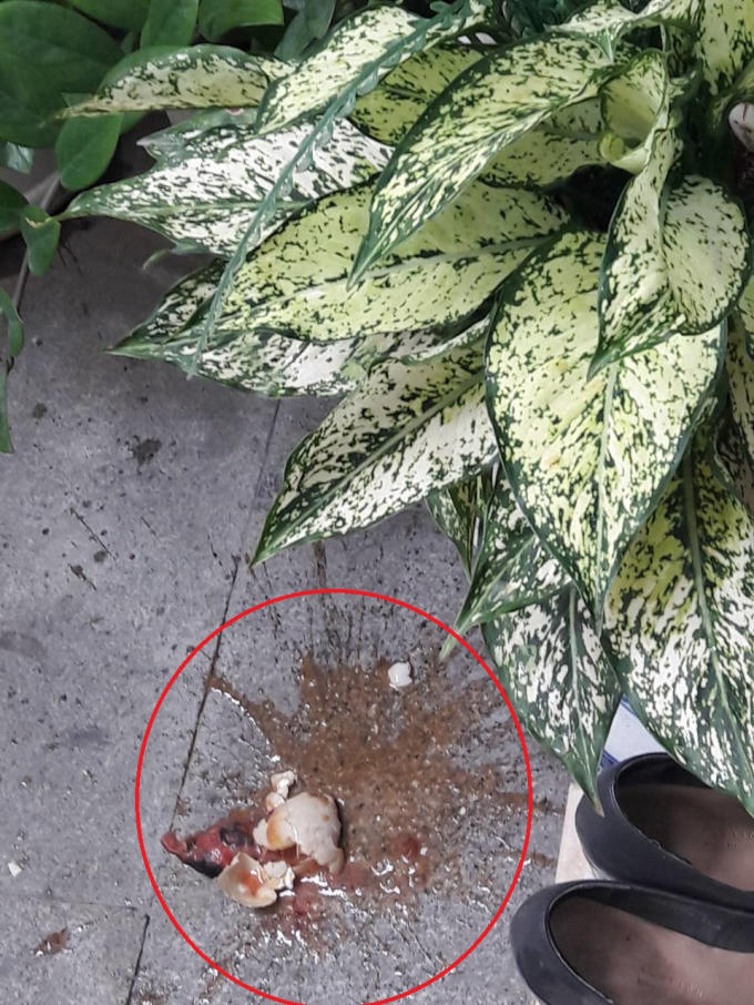 Nhà ông Kim bị khủng bố bằng trứng thối.